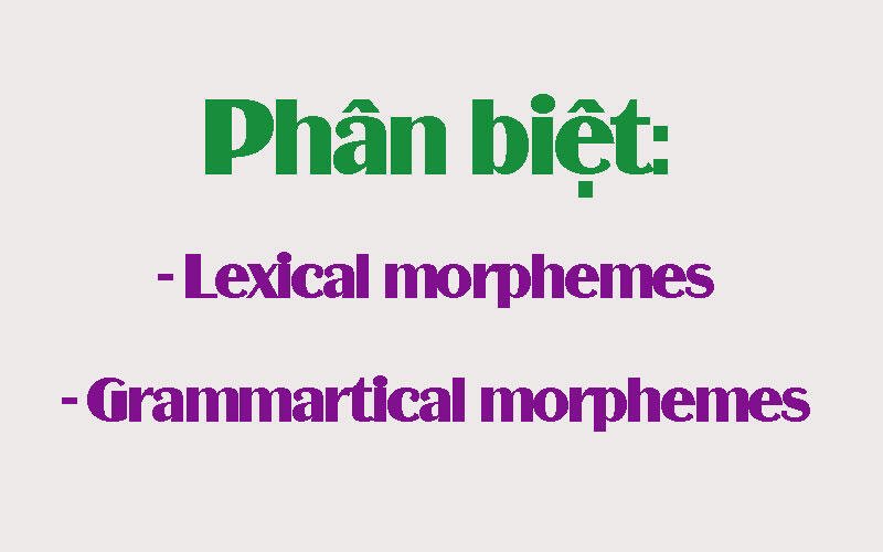 difference-between-lexical-and-grammatical-morpheme-englishcrunch